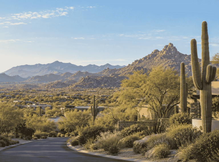 Paved desert road winding through North Scottsdale with saguaro cacti and Pinnacle Peak views in Scottsdale